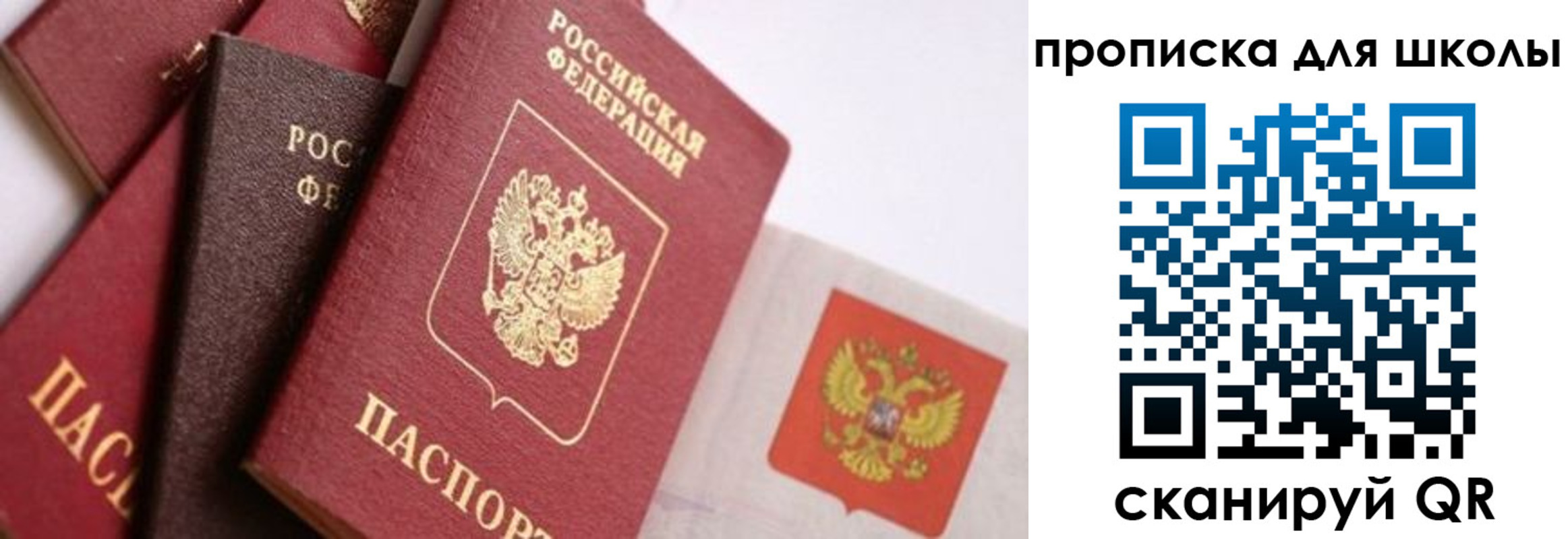 прописка поиск в Ялте